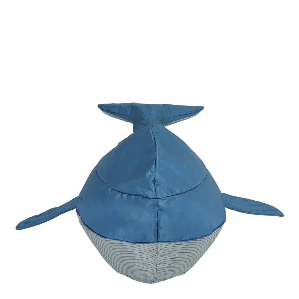 Sea Life Whale